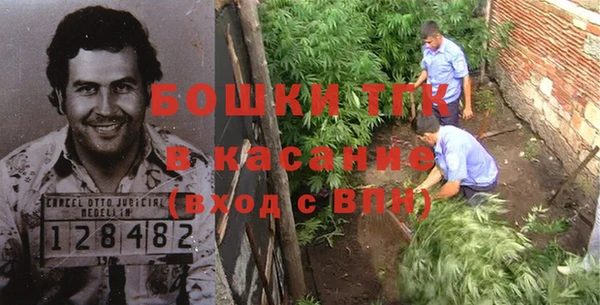 прущие крисы Алзамай