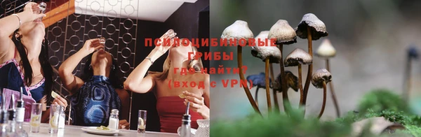 синтетический гашиш Алексеевка