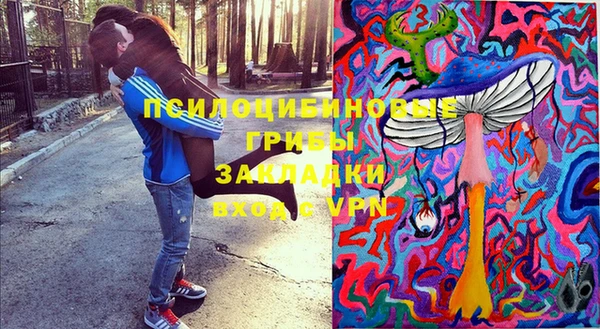 прущие крисы Алзамай