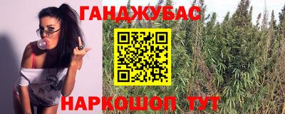 хмурый Тула