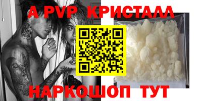 хмурый Тула