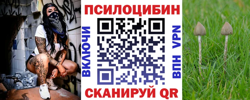 Галлюциногенные грибы Cubensis  что такое наркотик  Петрозаводск 